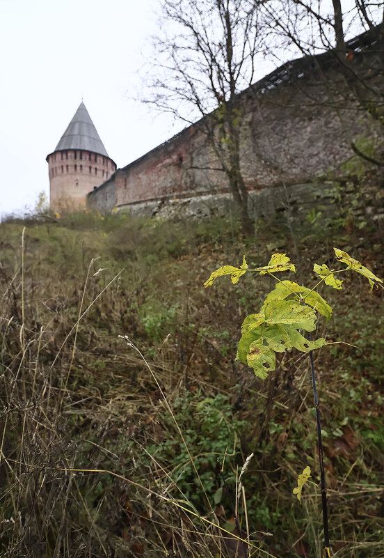 осень у Смоленской крепости - Тарас Золотько