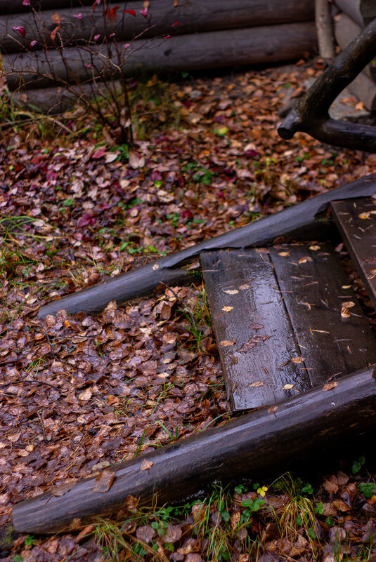Парк осенью в дождливый день - Светлана Мишенёва