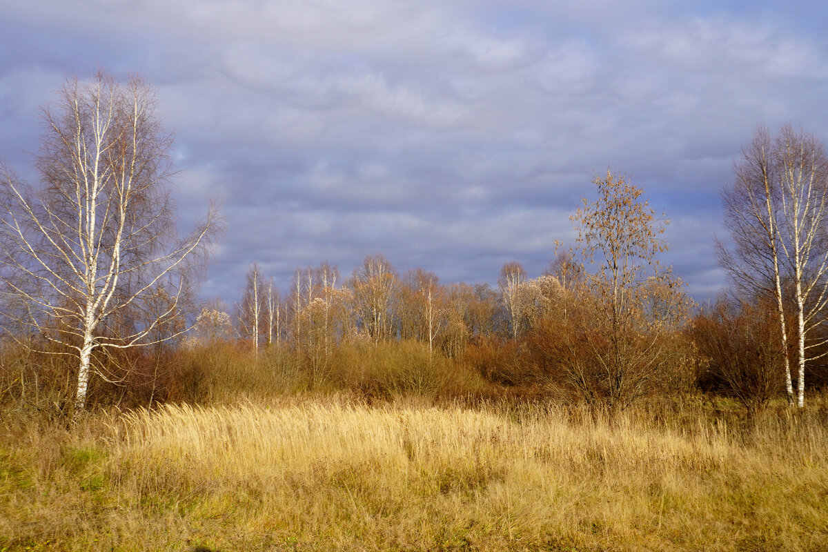 Середина осени - Сергей Ц