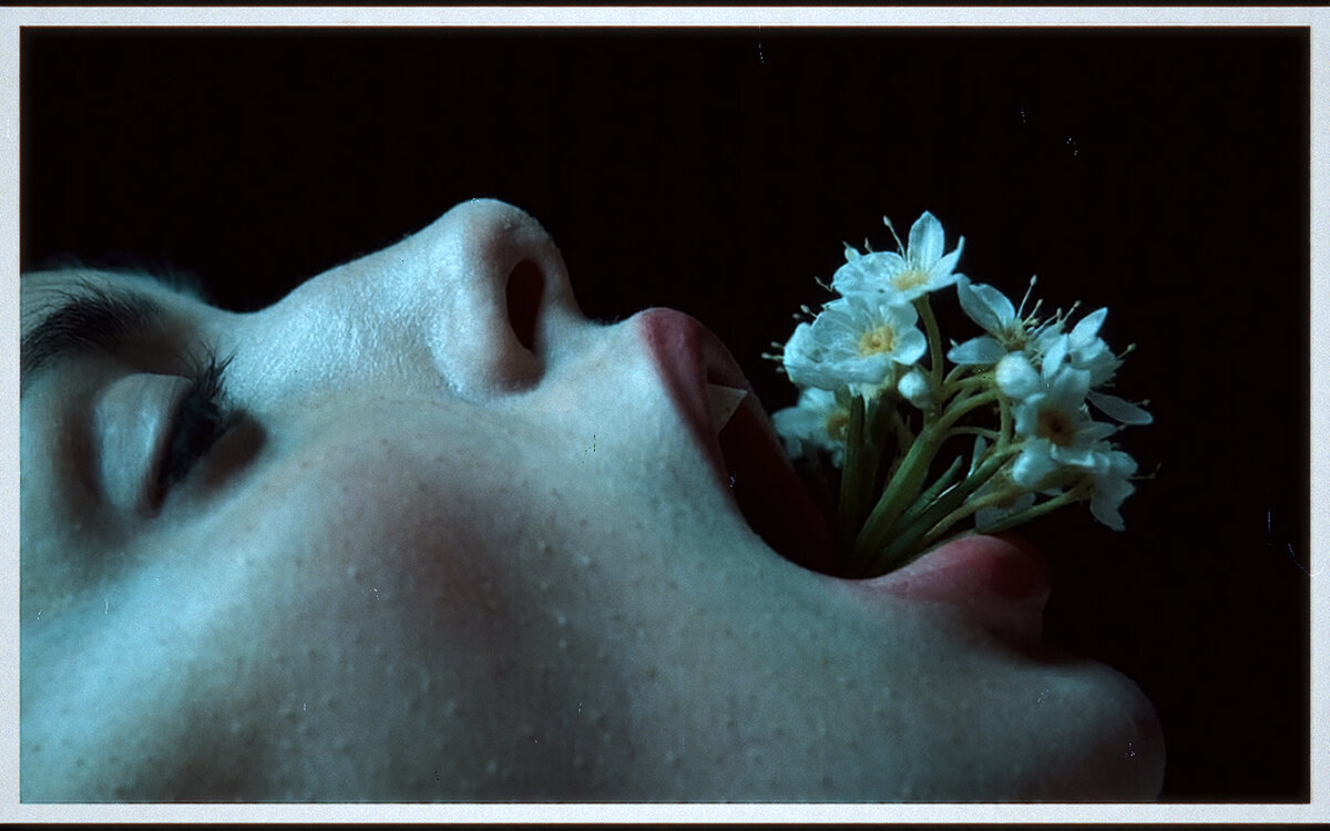 *** - Евгений Нодвиков