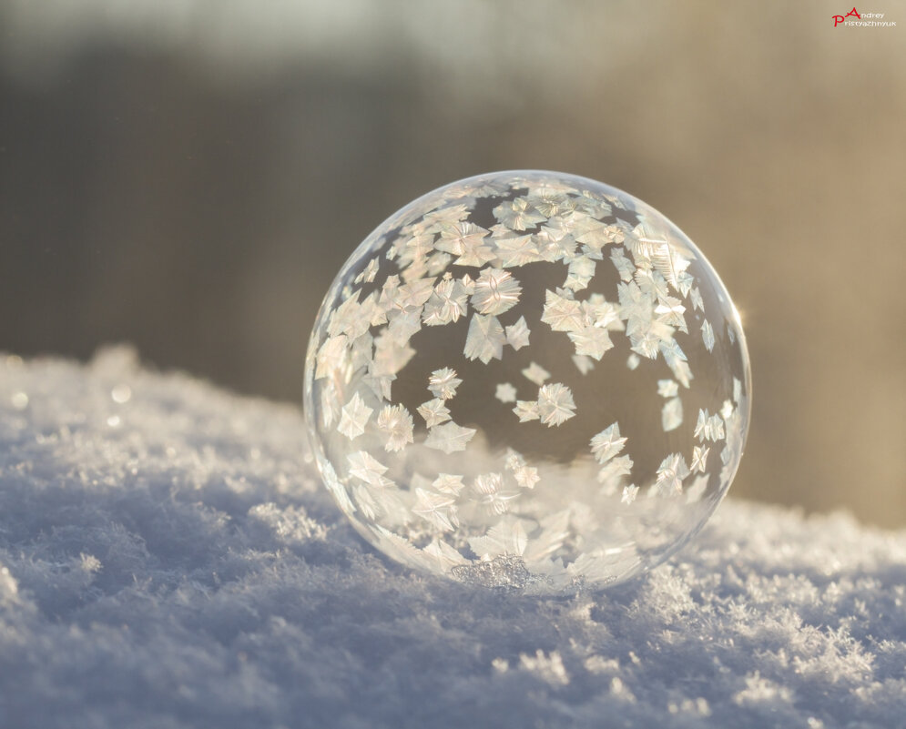 Пузырь - Андрей Пристяжнюк