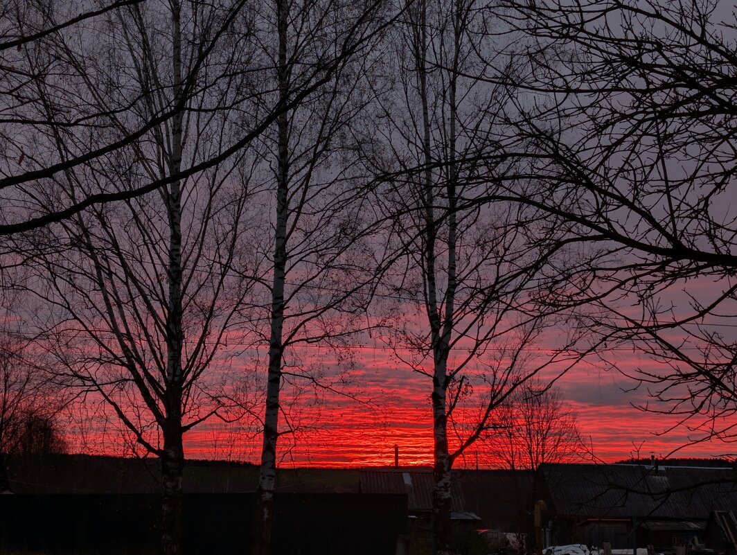 Закат - Анастасия Логинова