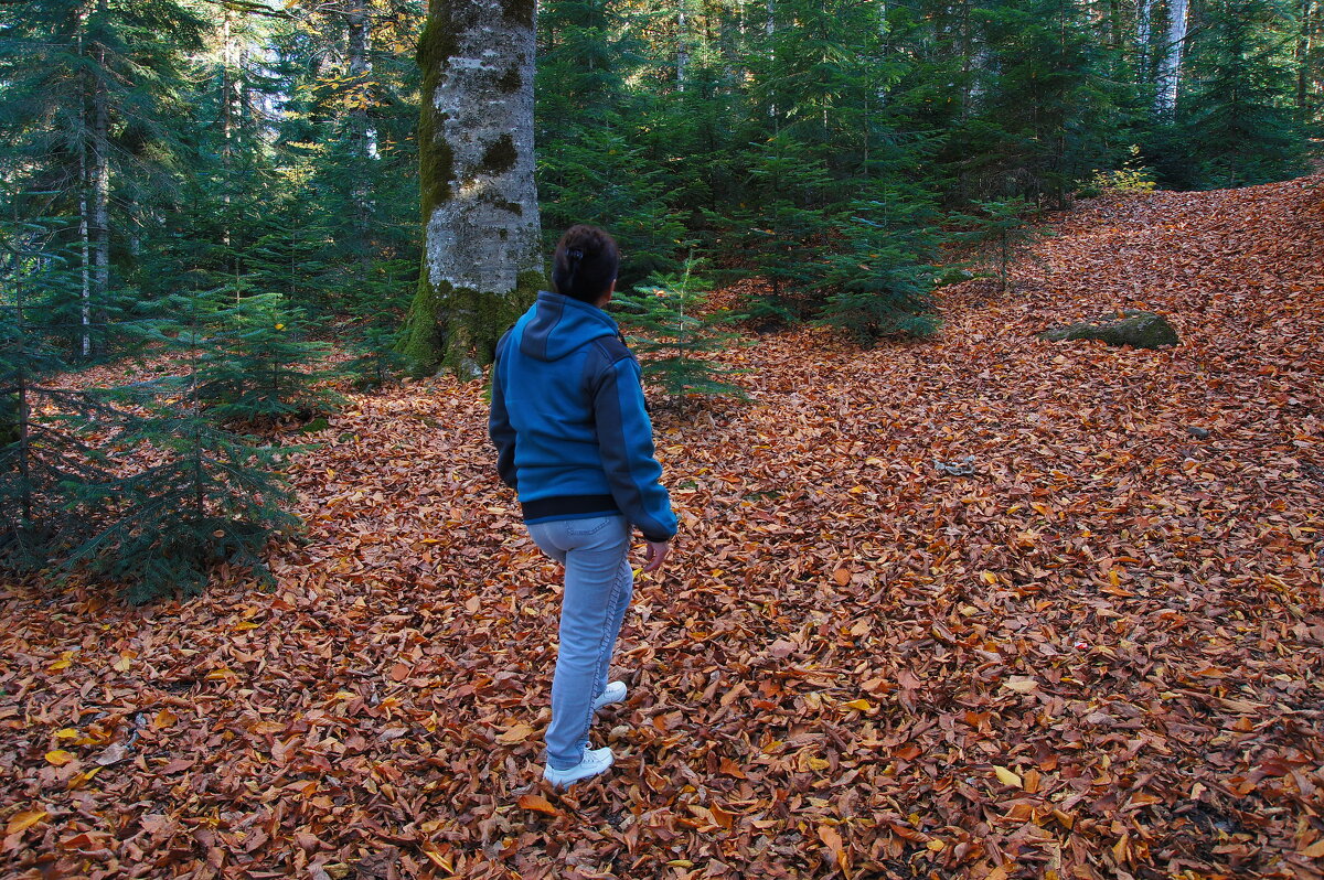 Гузерипль - Сергей Запорожцев