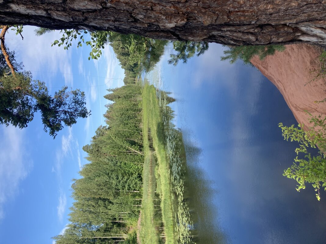 Оредеж - Ольга Савельева 