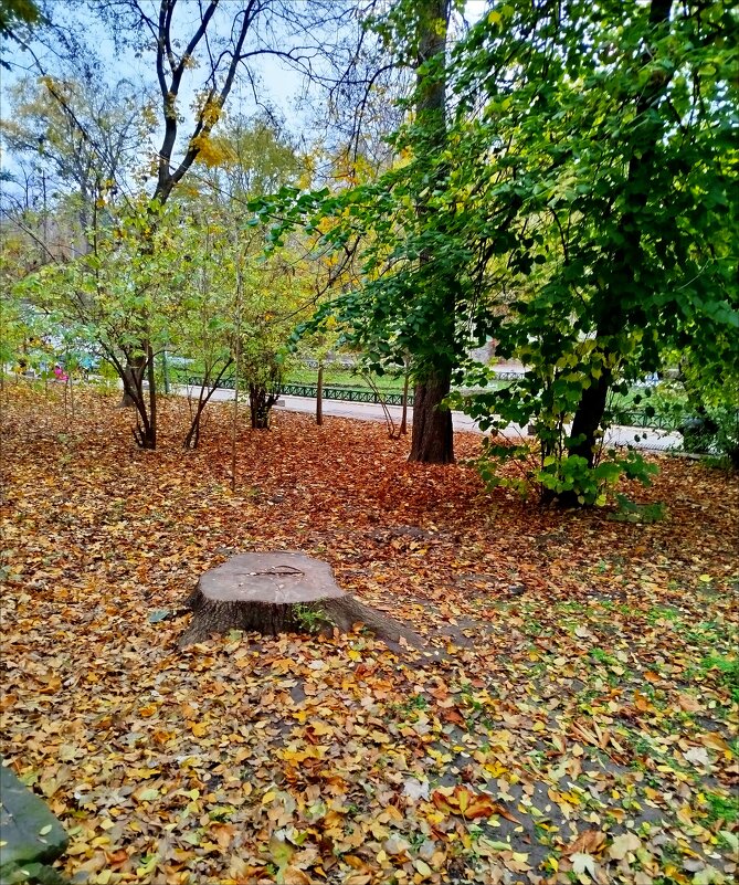 Осенний листопад! - Надежда Осенний листопад! - Надежда