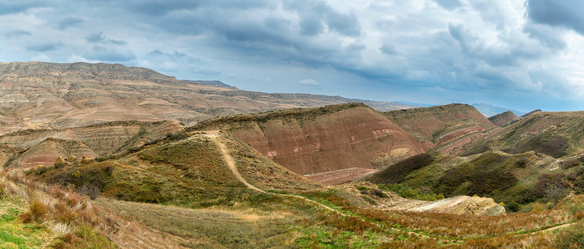 Гареджийская пустыня. Грузия. - Дина Евсеева