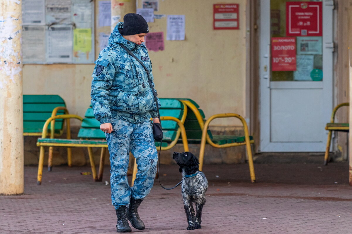 Собачья работа. - Анатолий. Chesnavik. Собачья работа. - Анатолий. Chesnavik.