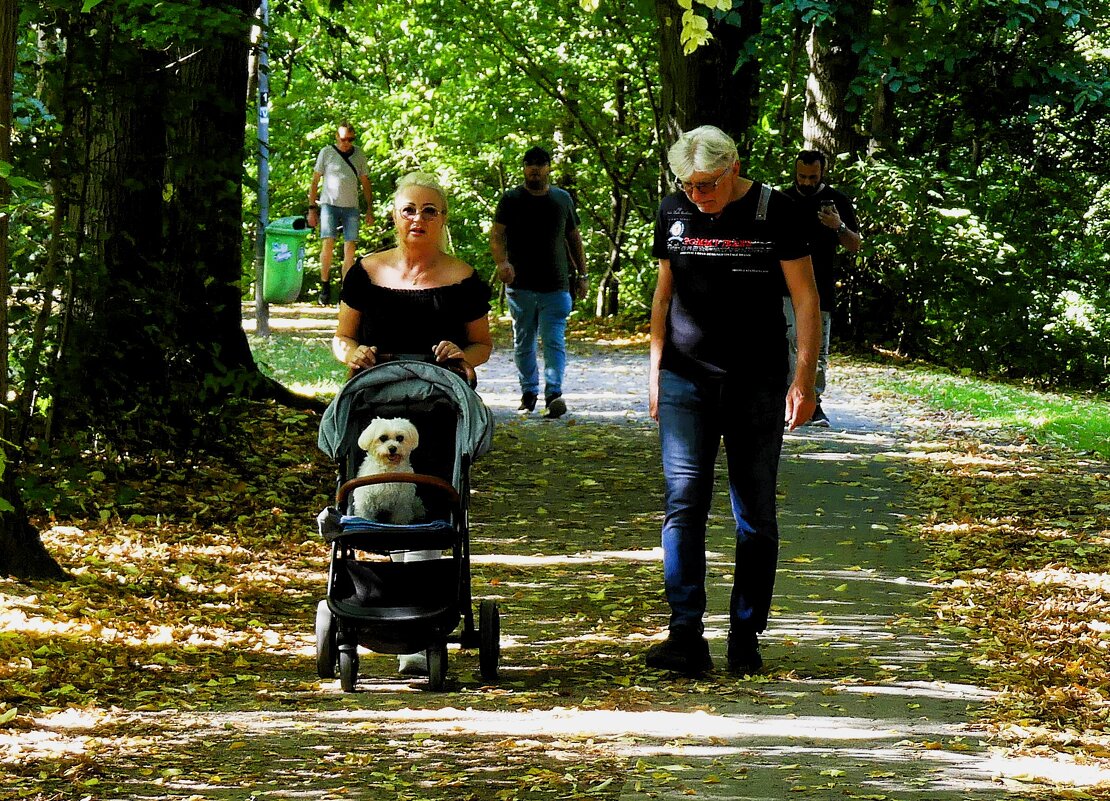 И у собак бывает счастливое детство! - Владимир Манкер