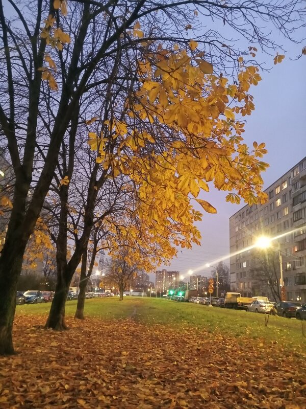 Осень - Сапсан 