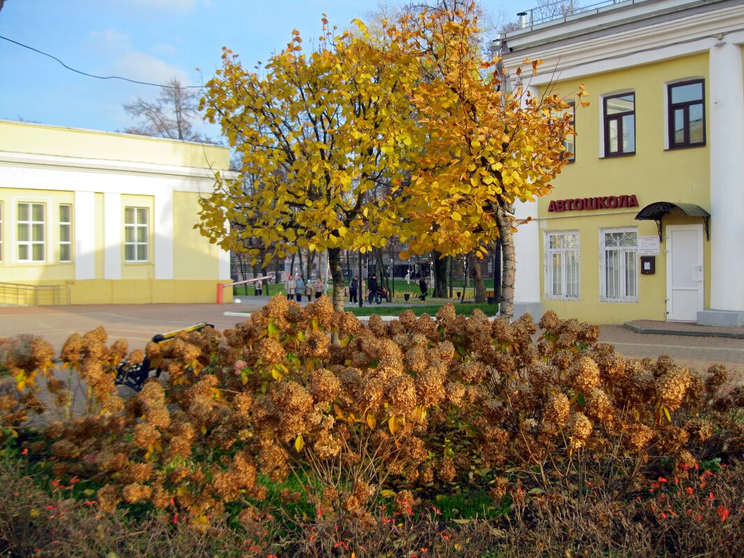 Сюжет начала ноября - Galina Solovova
