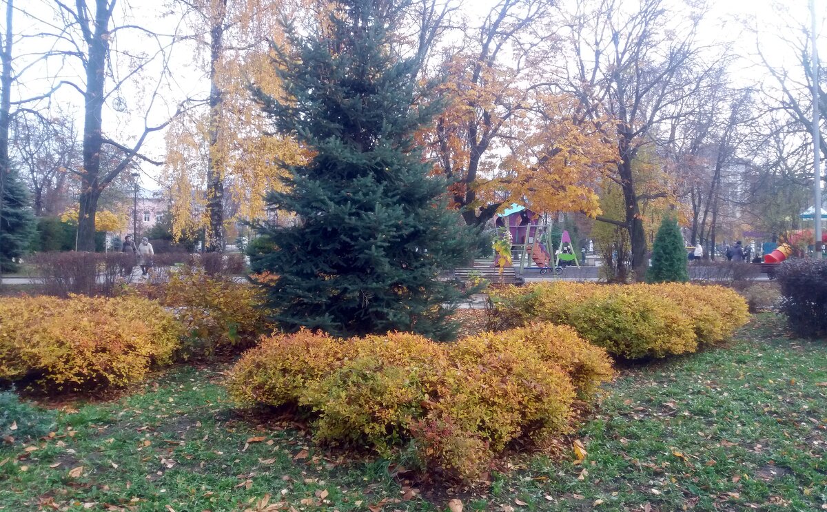 В осеннем парке - Galina Solovova