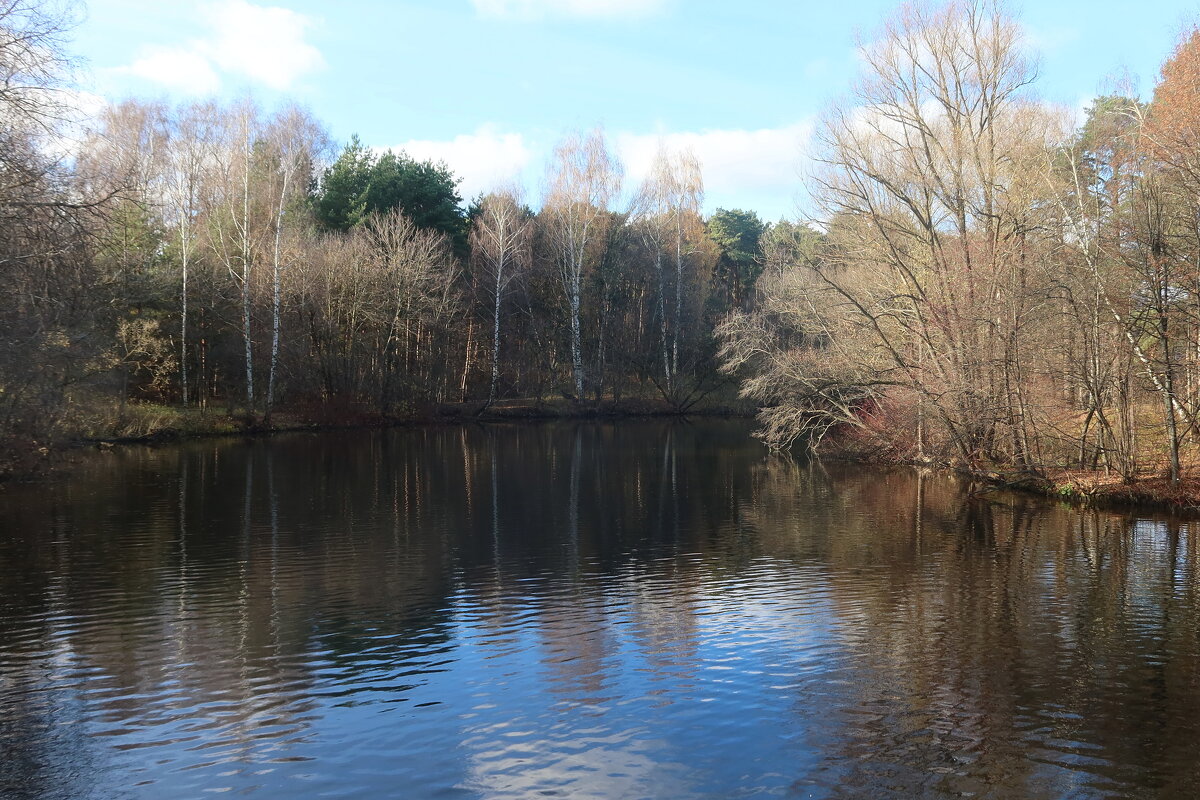 Лесное озеро - Дмитрий И_