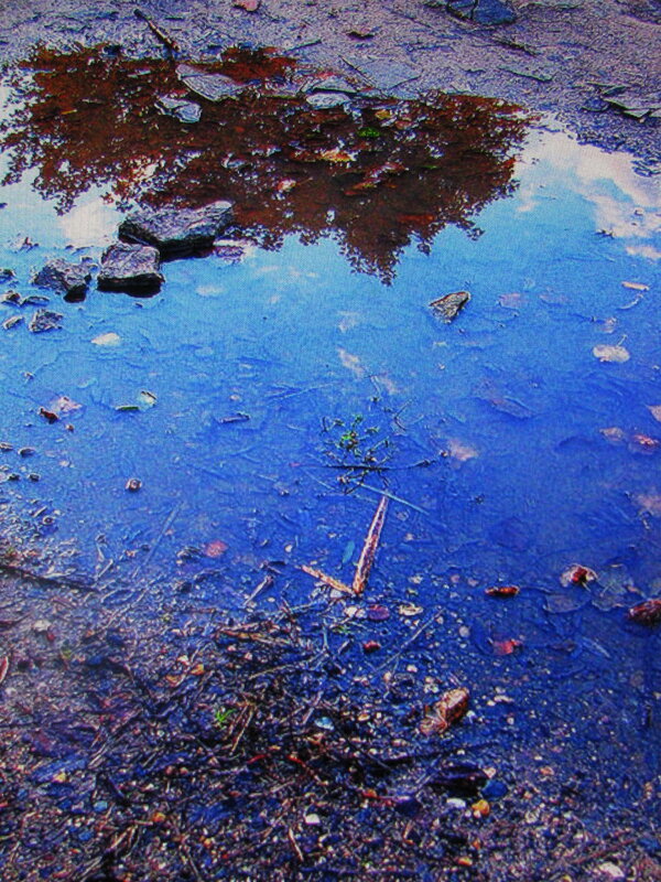 Отражение в луже - Людмила Смородинская