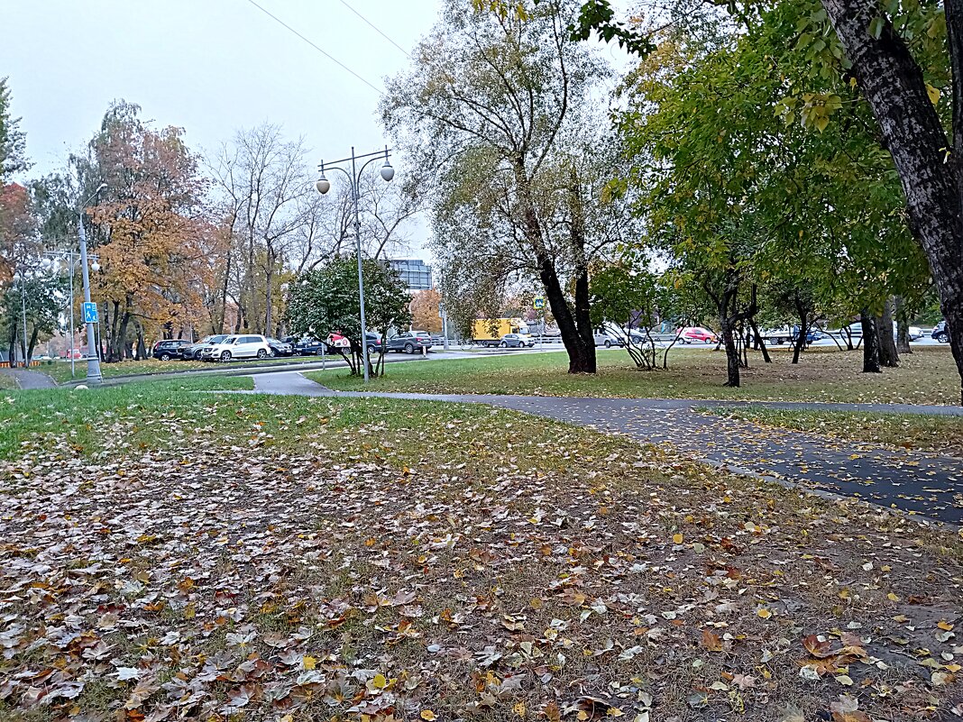 Осень. - Владимир Драгунский