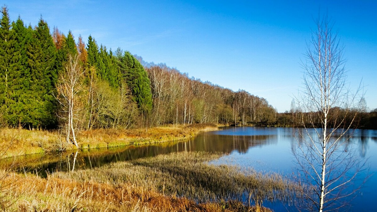 Про смоленскую осень. - Милешкин Владимир Алексеевич 