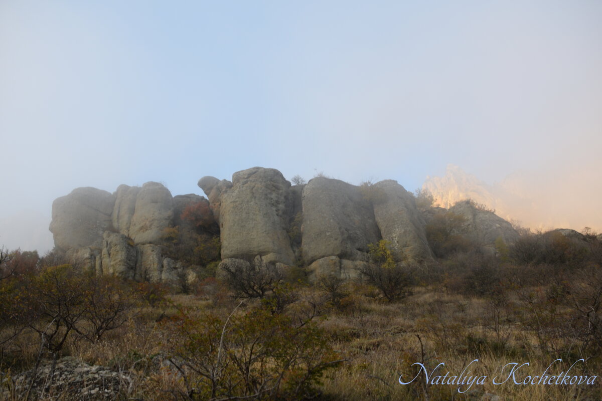 Природа Крыма - Amazing Cosmea