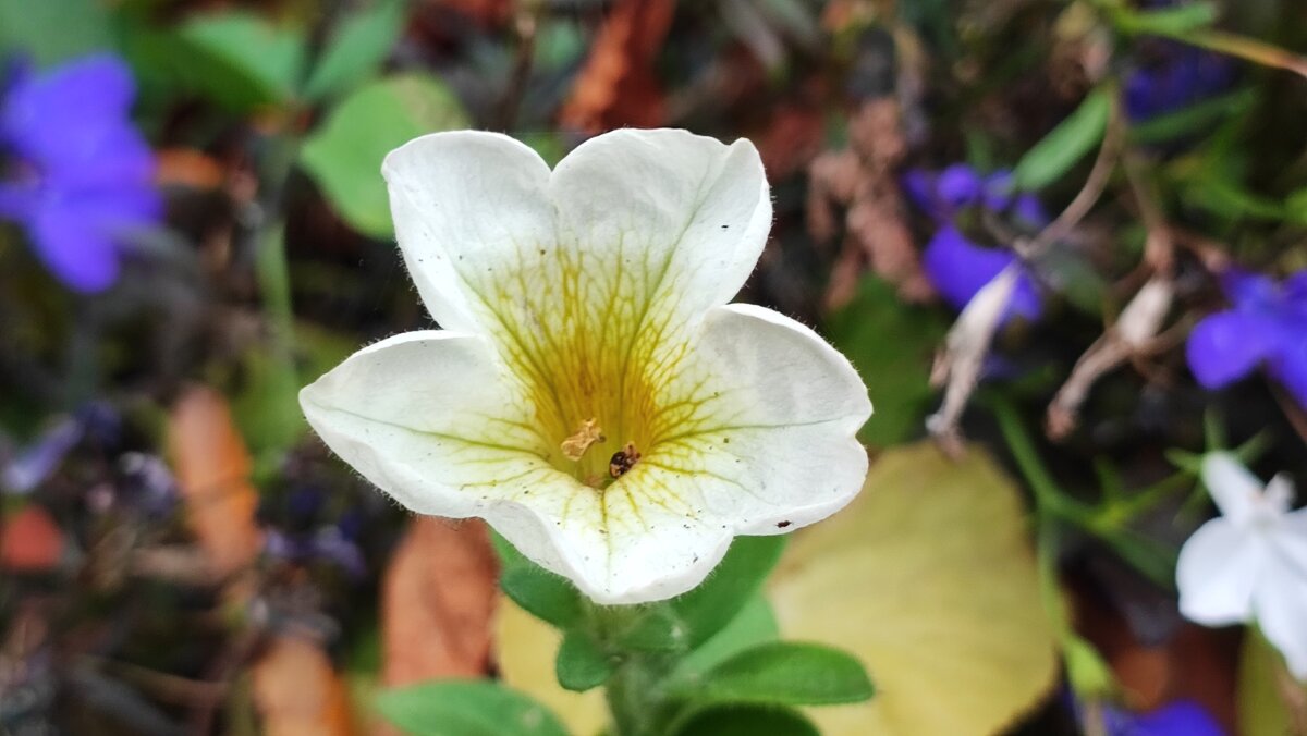 ,,, - Сергей Тимоновский