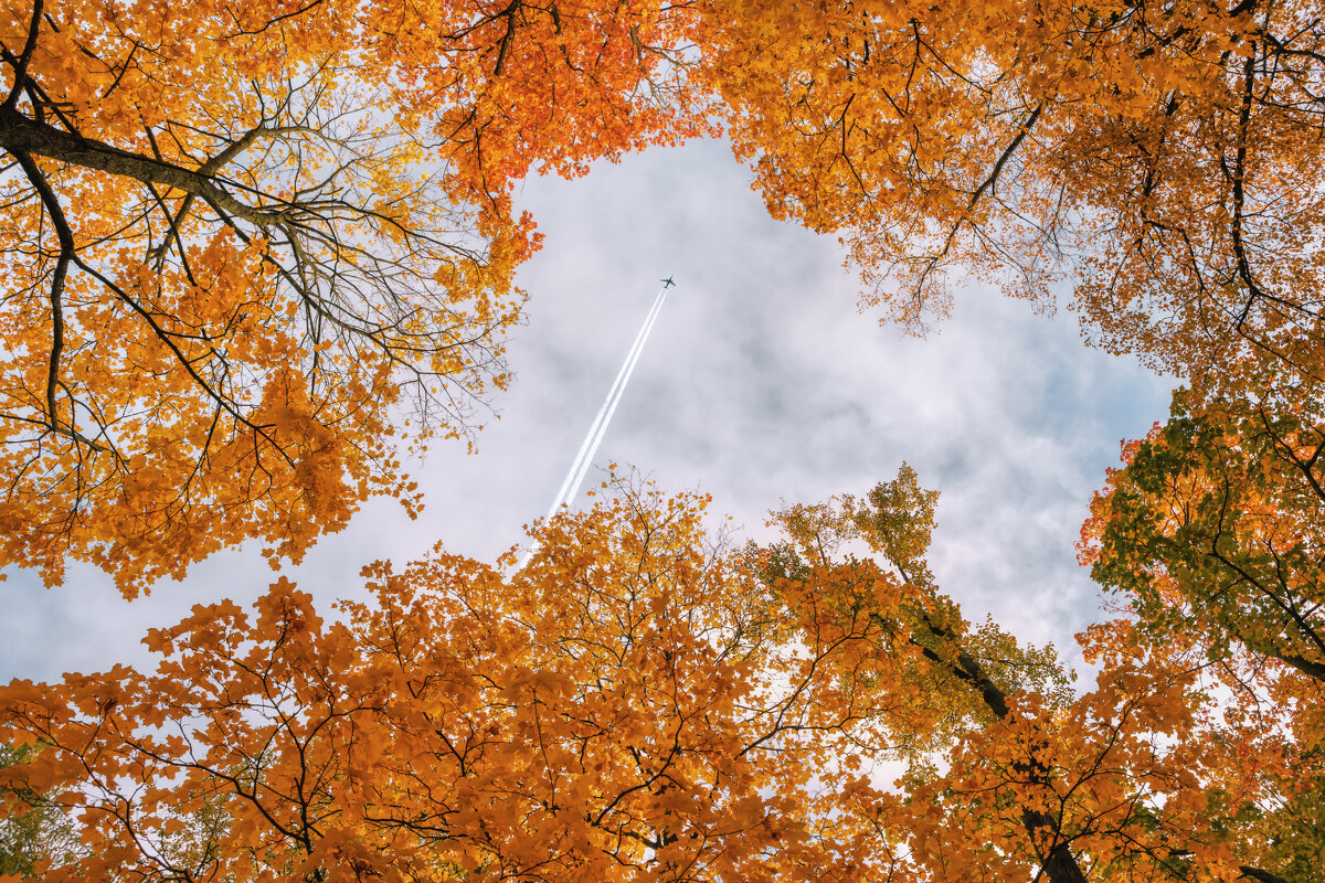 Осень - Владимир Колесников