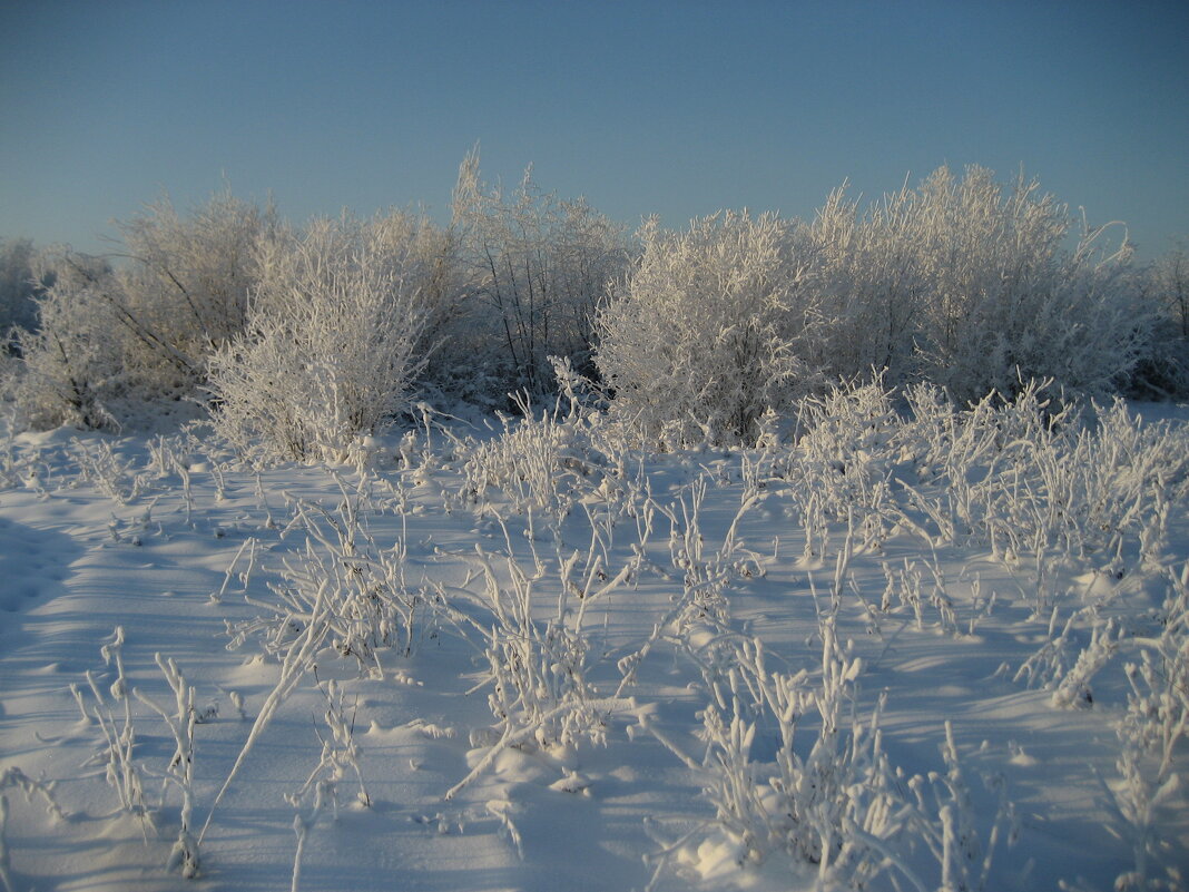Зима - Anna Ivanova