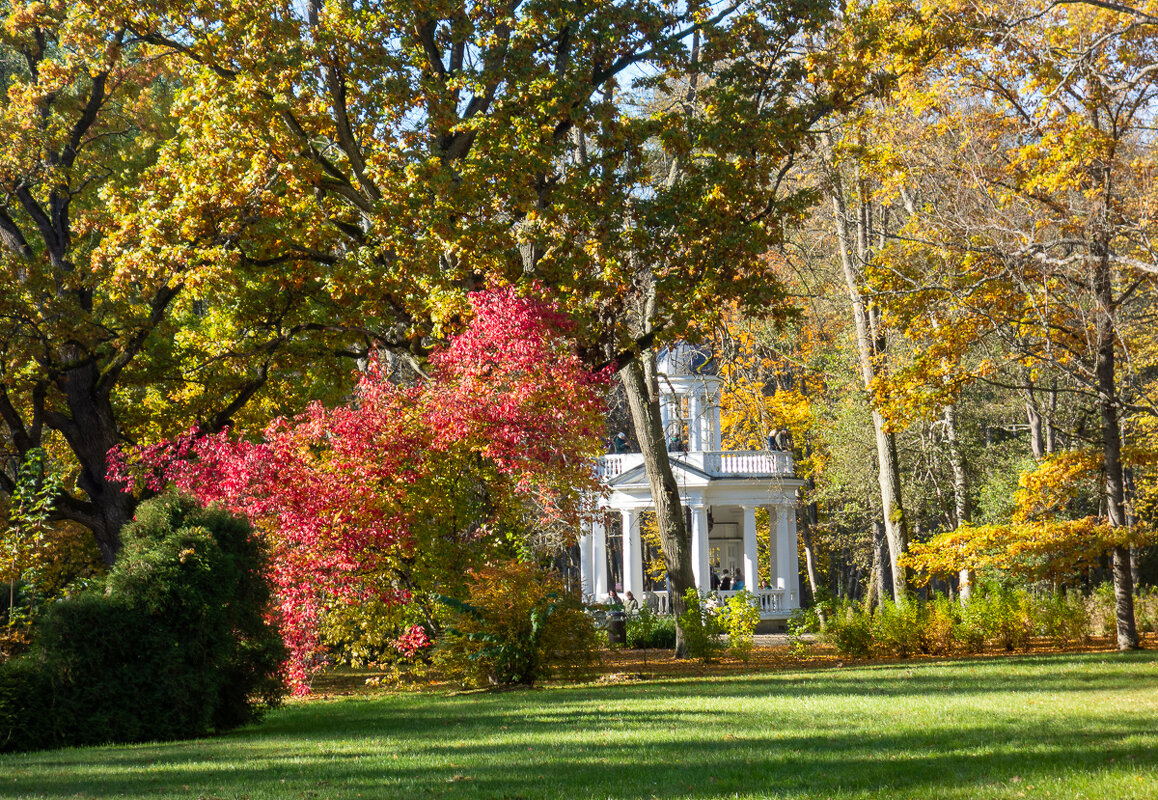 Кемерский парк. - Геннадий Порохов