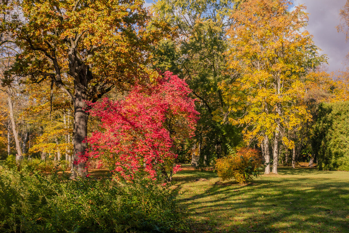 *** - Геннадий Порохов