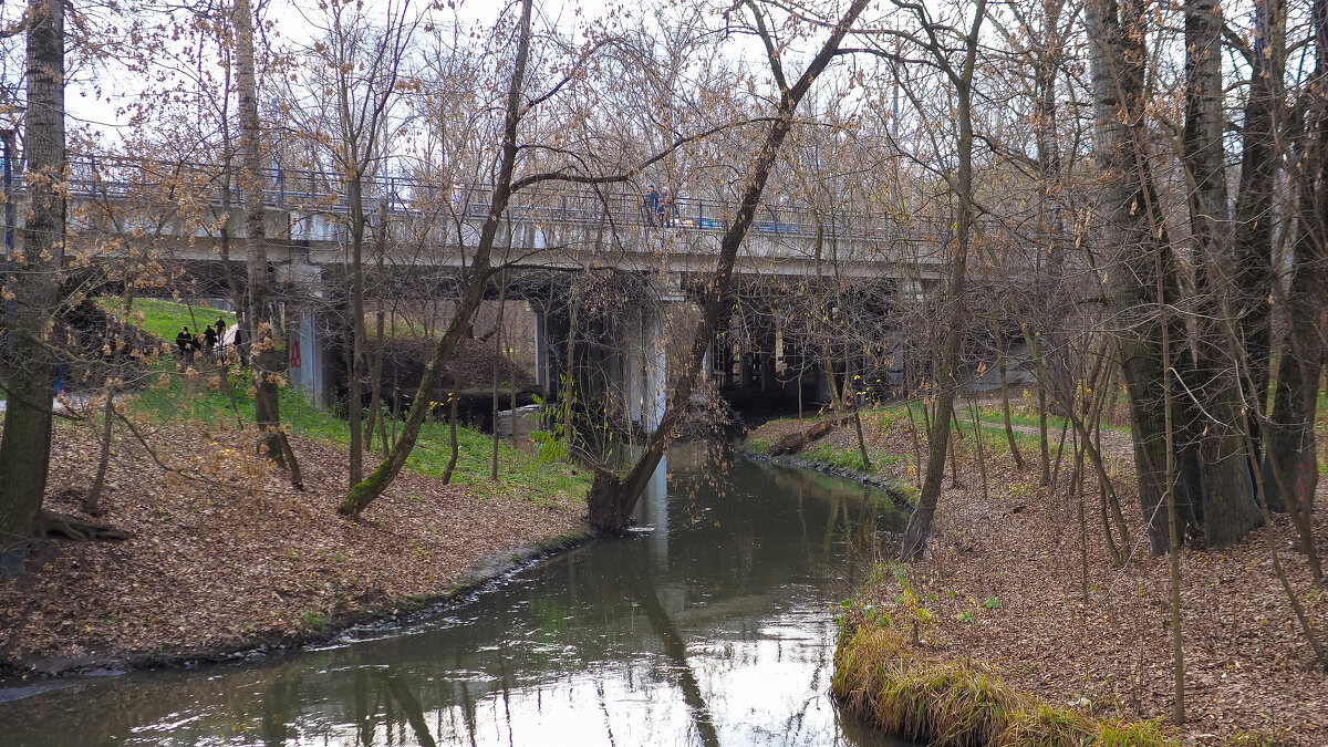 ***** - юрий поляков