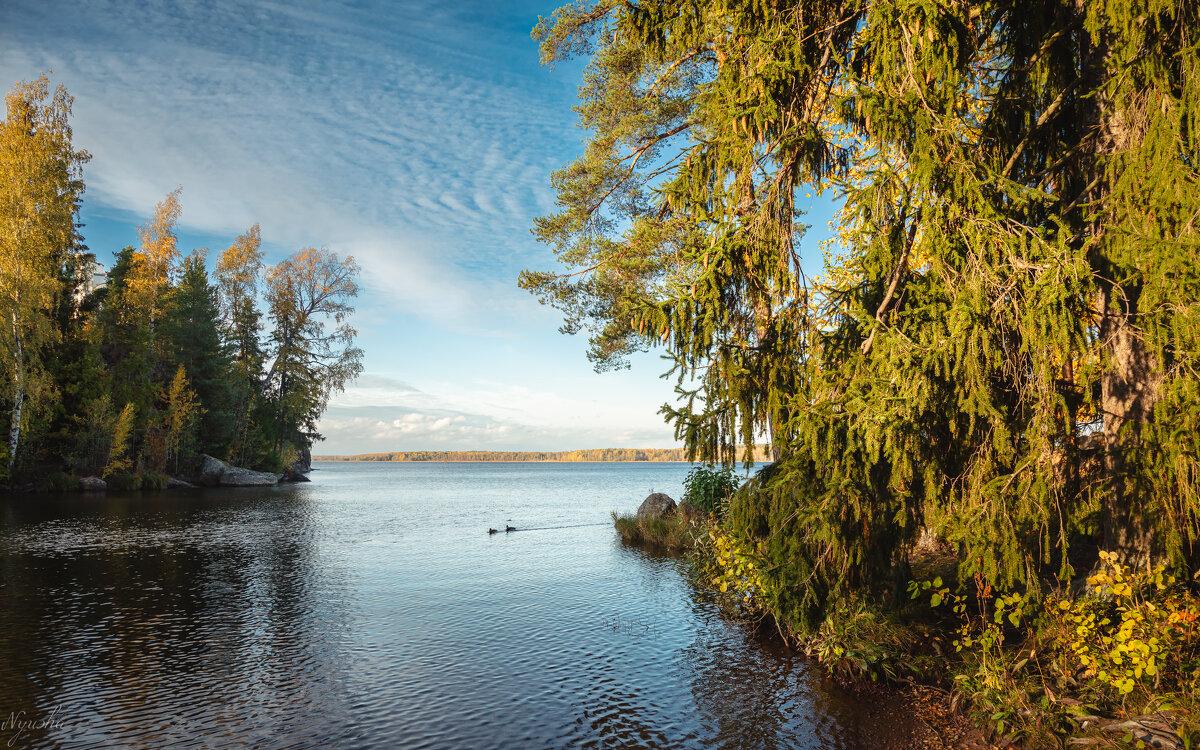 В парке Монрепо - Nyusha .