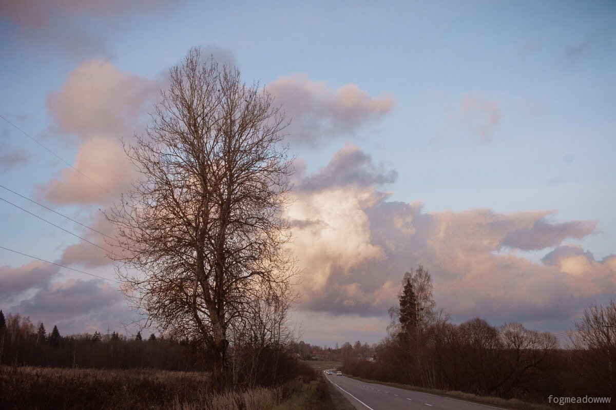 без названия - fogmeadowww m