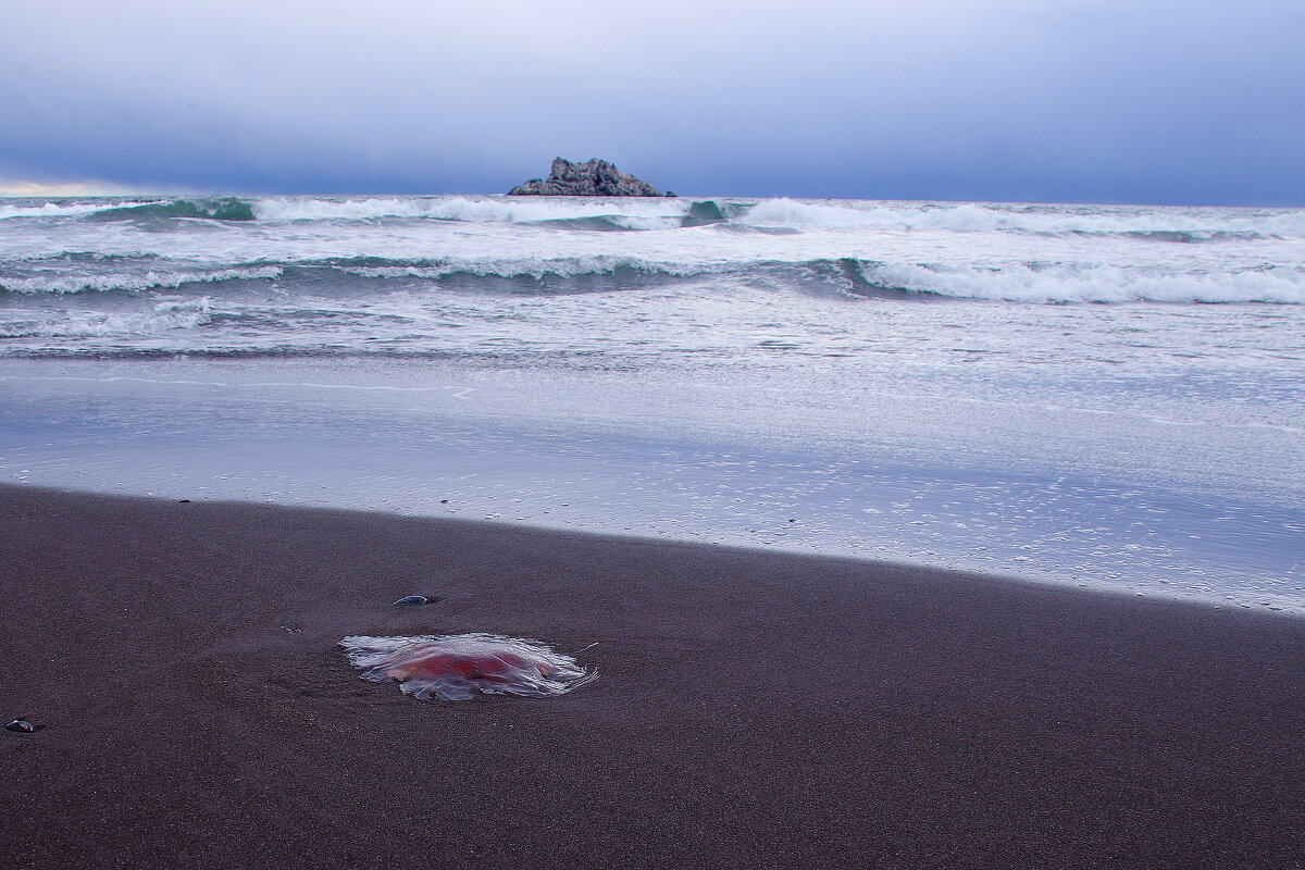На берегу Тихого океана - Сергей Швечков На берегу Тихого океана - Сергей Швечков