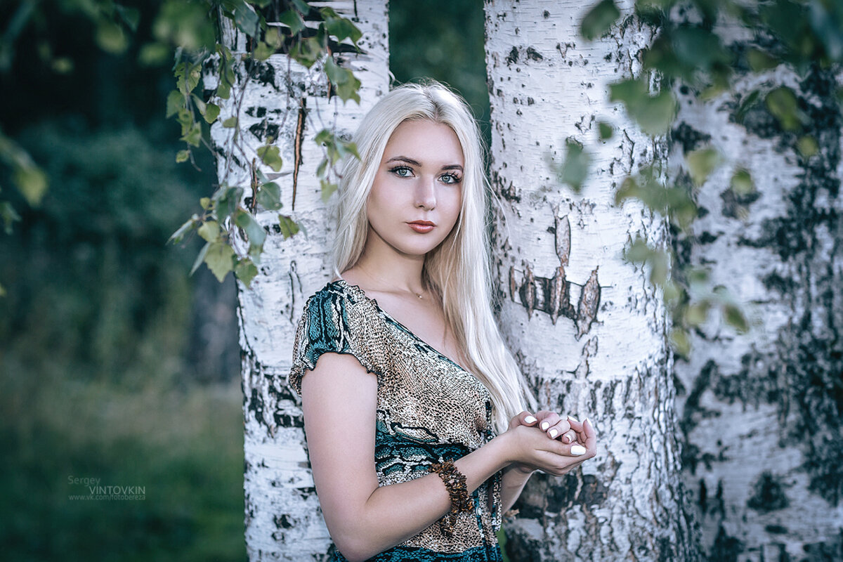 Девушка среди берез - Сергей Винтовкин