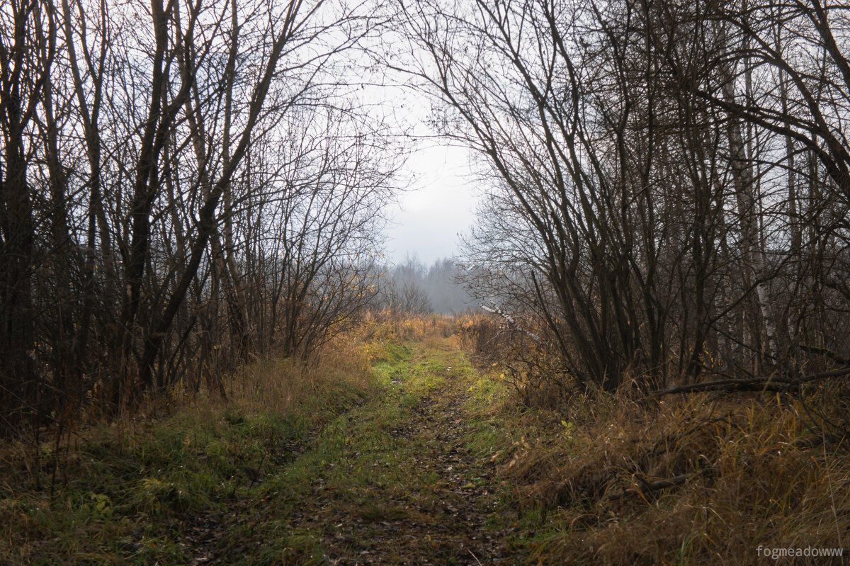 тропинка - fogmeadowww m