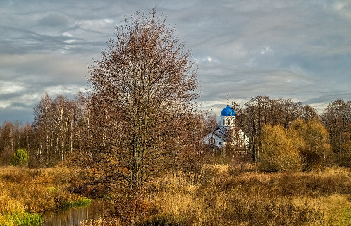 Осень не сдаётся 11 - Андрей Дворников