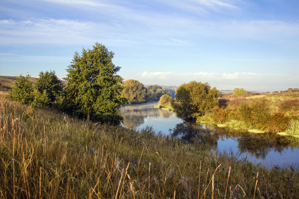 Хороший денек. - Александр. AVG100 ---