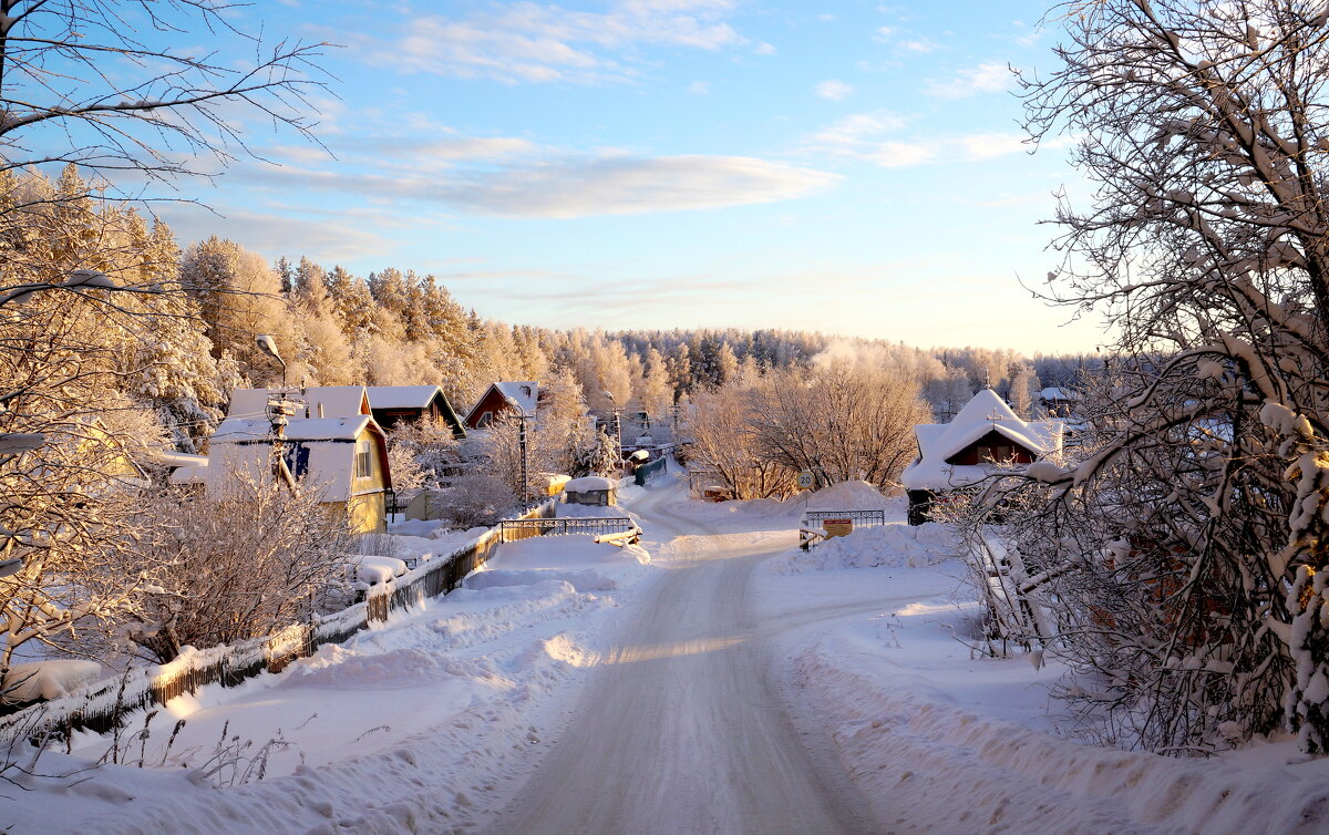 Времена  года . Зима . - Нэлли Обертынская