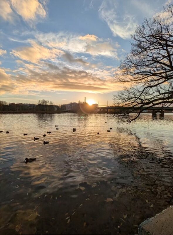 Осень - Венера Чуйкова