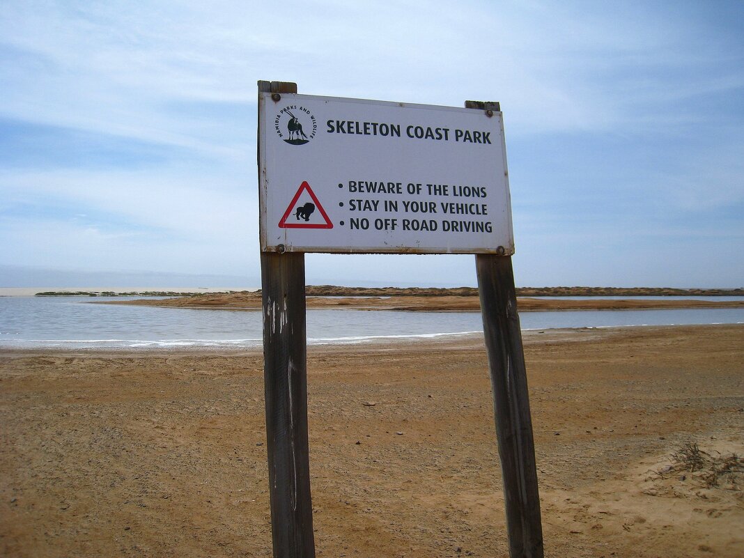 "В Африке акулы, в Африке гориллы, в Африке большие злые крокодилы!" - unix (Илья Утропов)