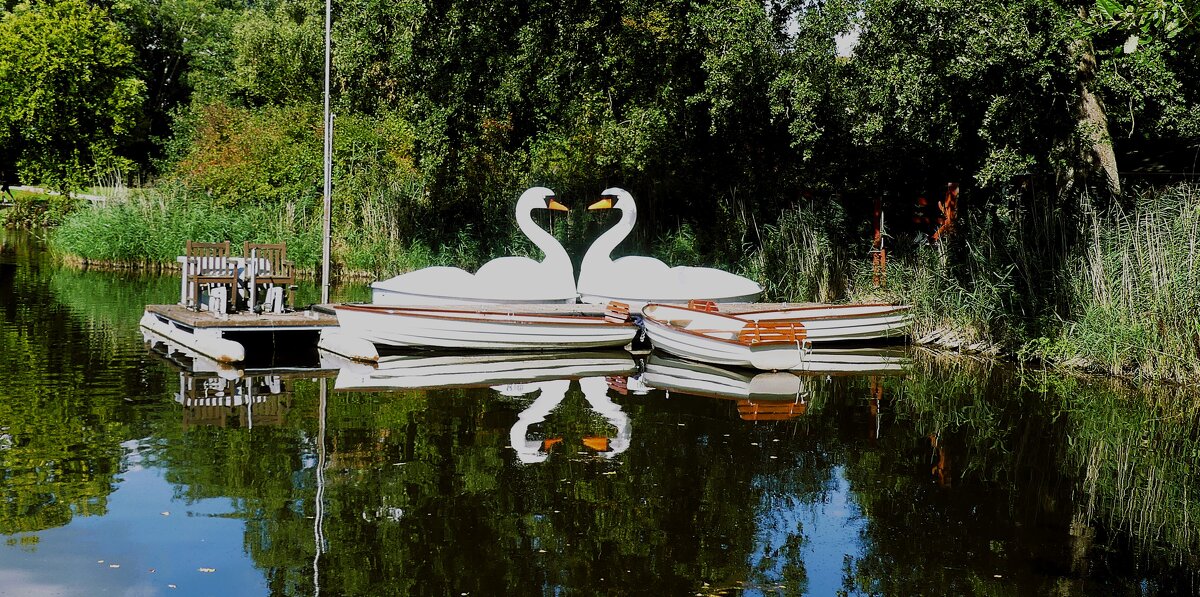 Конец сезона - Владимир Манкер