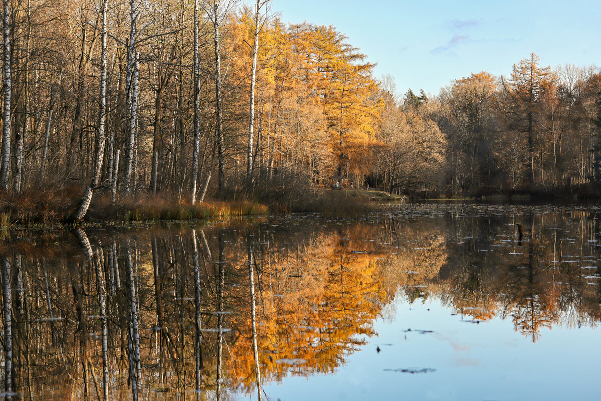 Осиновая роща - skijumper Иванов Осиновая роща - skijumper Иванов