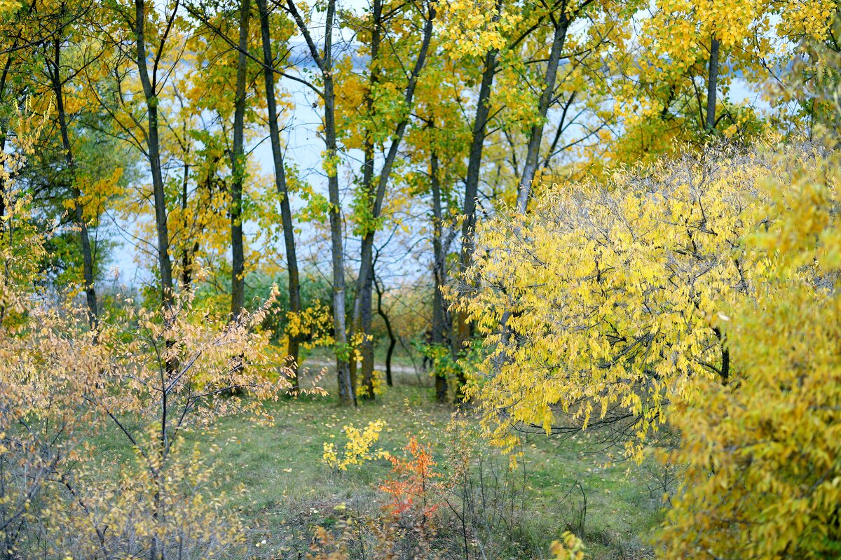 Берег - Андрей Л. В.