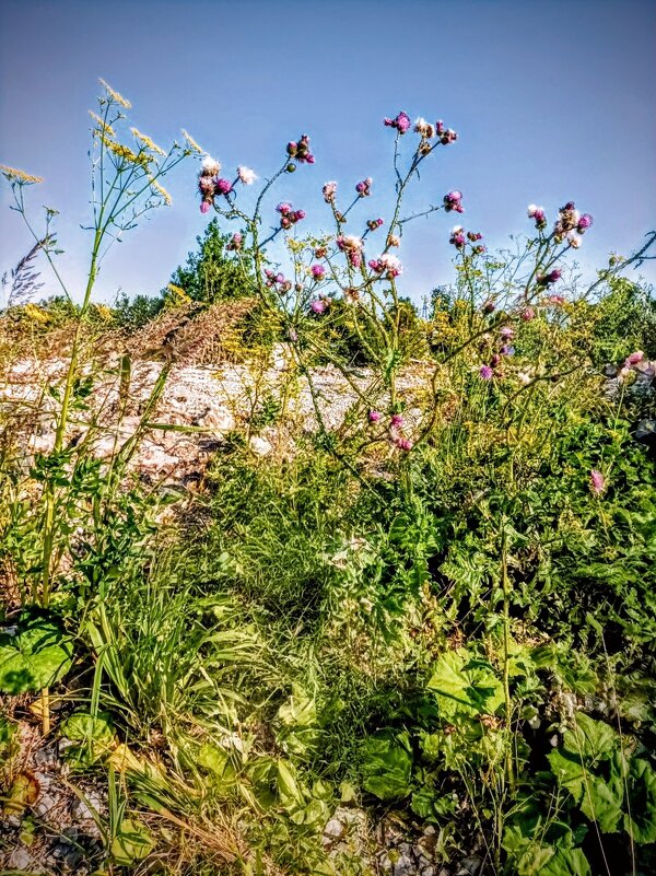 На пустыре - Veera V