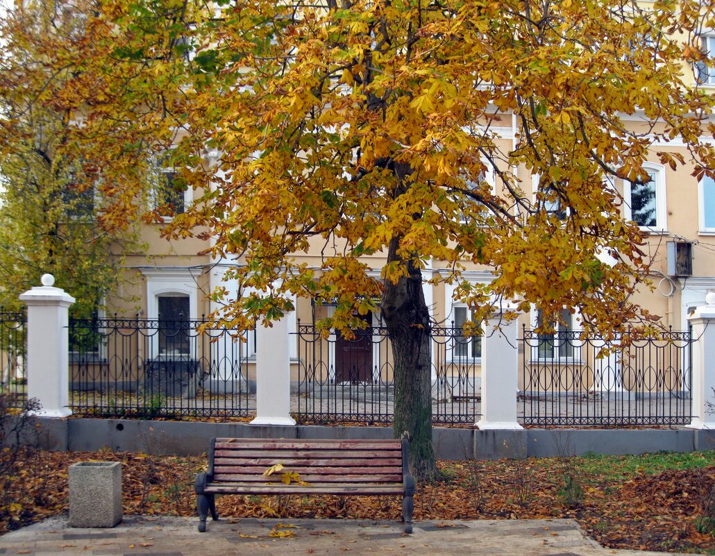 Падают листья с каштанов - Galina Solovova