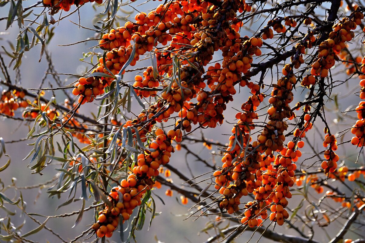 - - Владимир Мигонькин - - Владимир Мигонькин