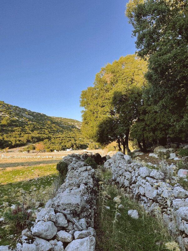 Красивая осень - Георгиевич 