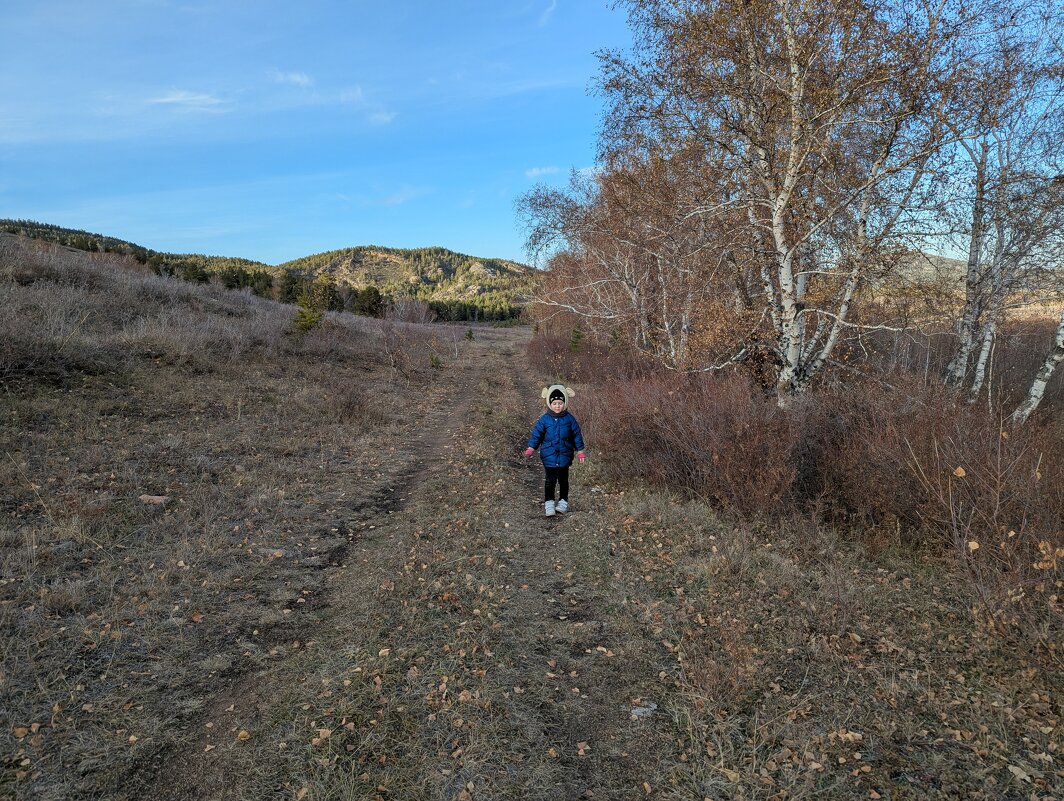Лесными стежками осени - Андрей Хлопонин