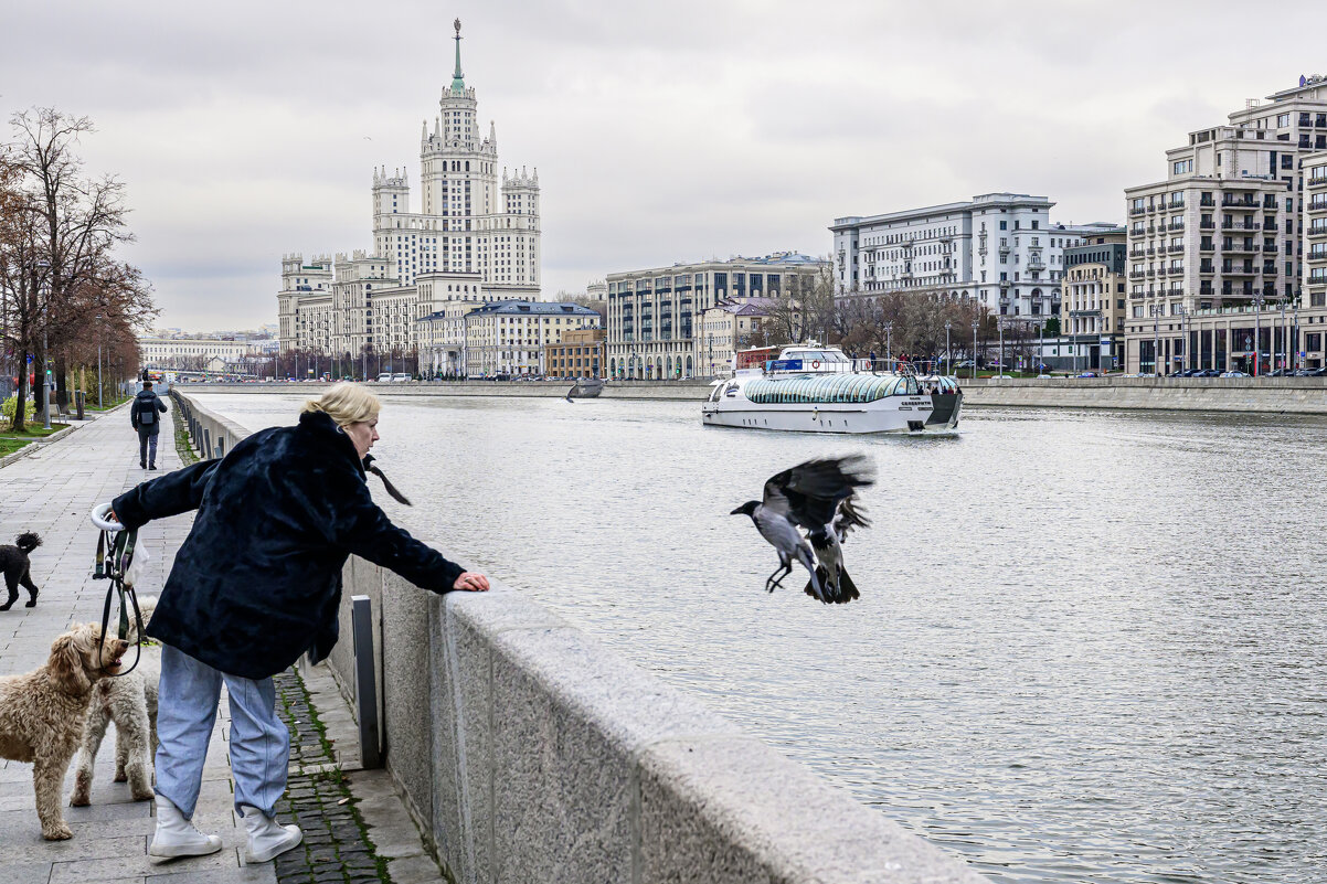 Голуби-) - Валерий Пославский