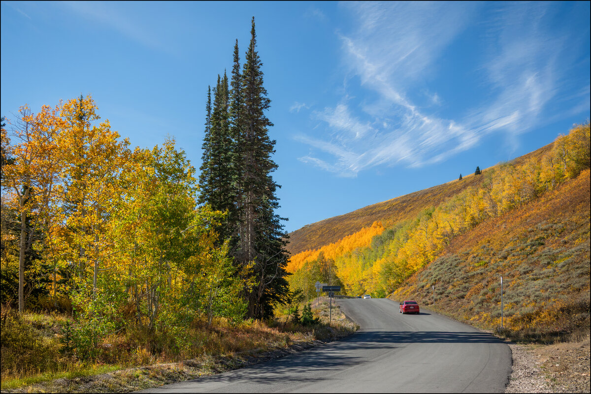 Осень - **** vedin