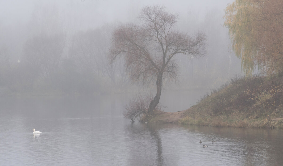 *** - Владимир Безбородов *** - Владимир Безбородов