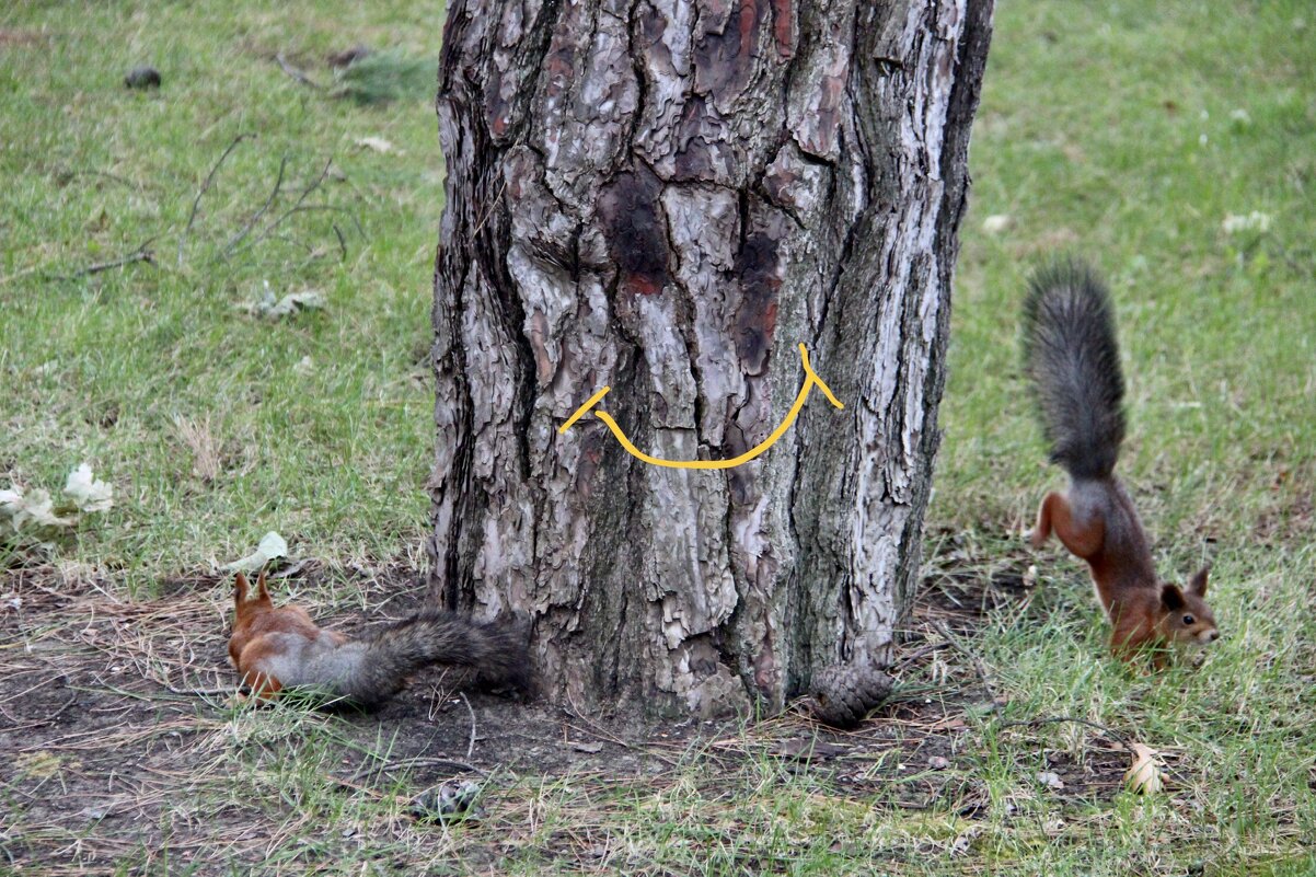 Вместе- веселее!) - Любовь 