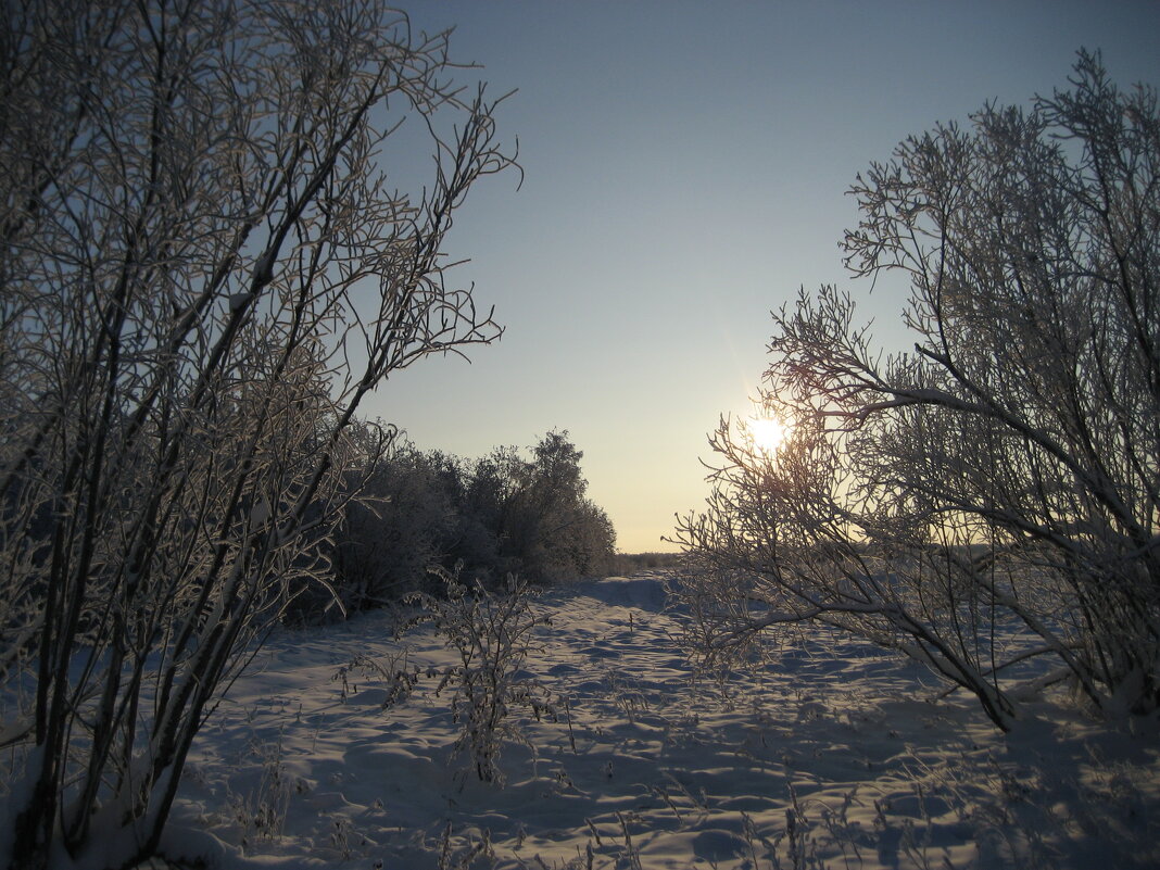 Зима - Anna Ivanova Зима - Anna Ivanova