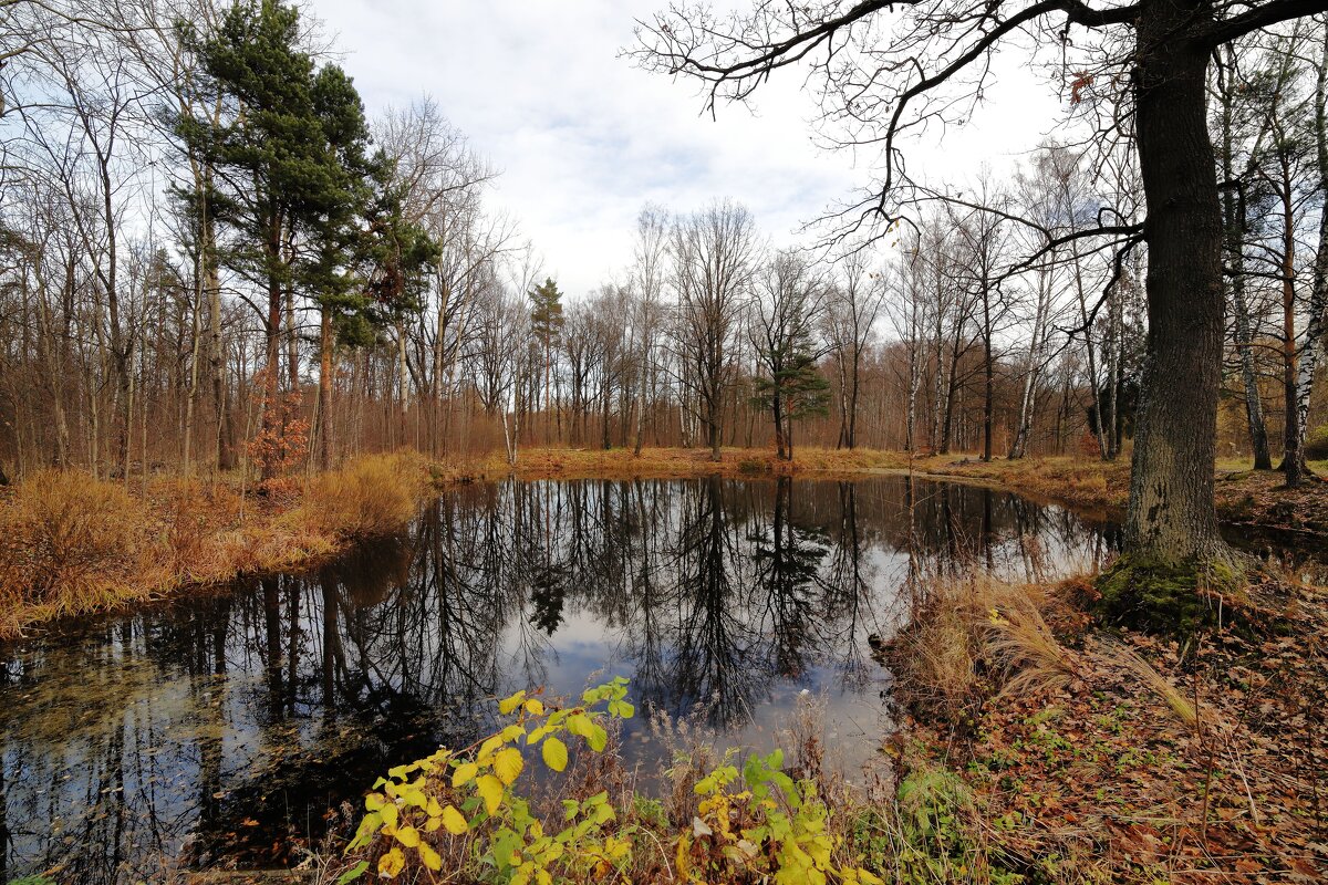 Осень - Александр Алексеенко